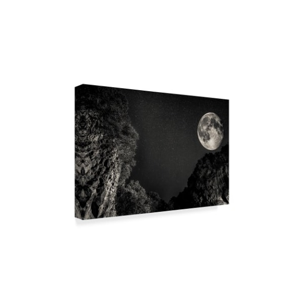 Giuseppe Torre 'Moon In Black' Canvas Art,16x24